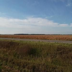 Meet your Posher, Hunter